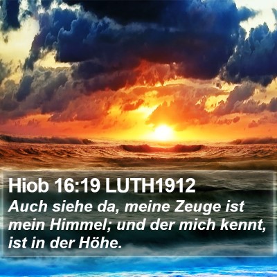 Hiob 16:19 LUTH1912 Bible Verse Image