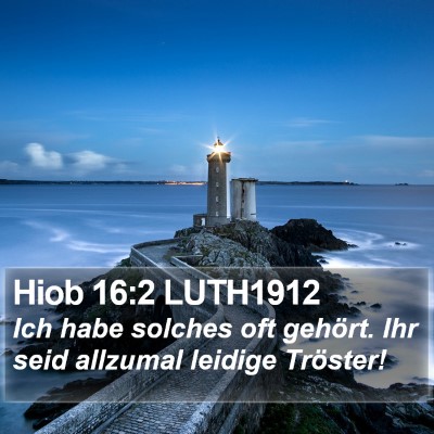 Hiob 16:2 LUTH1912 Bible Verse Image