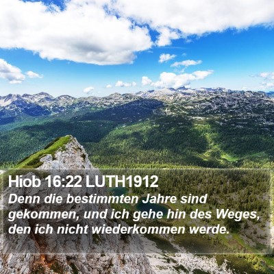 Hiob 16:22 LUTH1912 Bible Verse Image