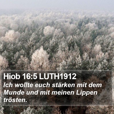 Hiob 16:5 LUTH1912 Bible Verse Image