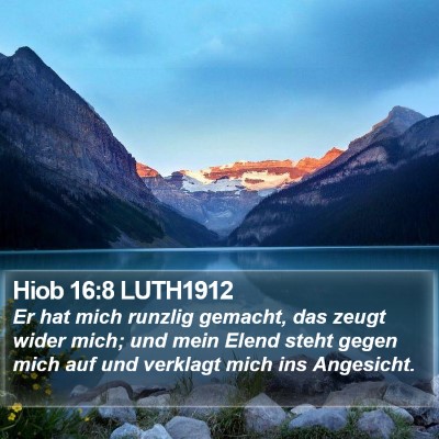 Hiob 16:8 LUTH1912 Bible Verse Image