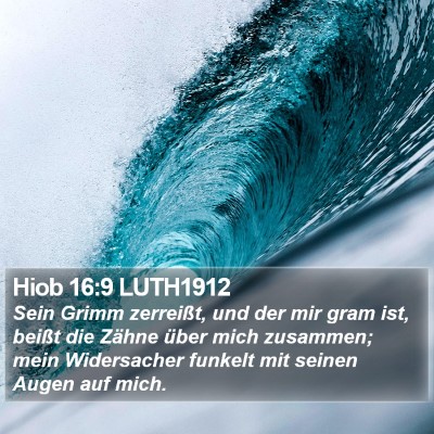 Hiob 16:9 LUTH1912 Bible Verse Image