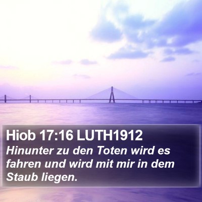 Hiob 17:16 LUTH1912 Bible Verse Image