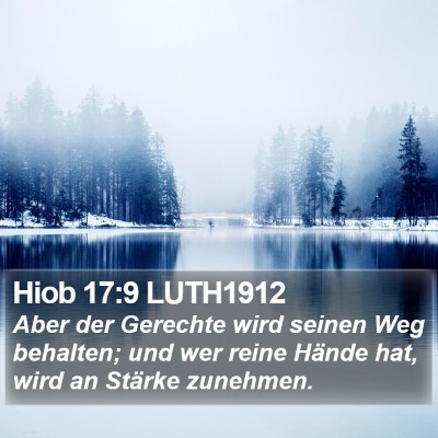 Hiob 17:9 LUTH1912 Bible Verse Image