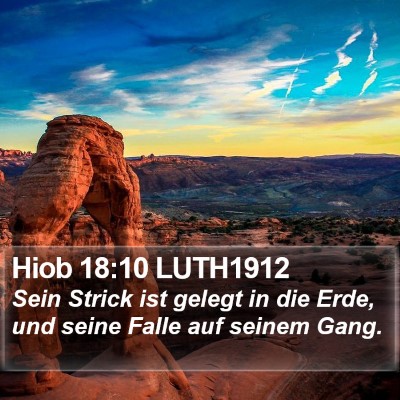 Hiob 18:10 LUTH1912 Bible Verse Image