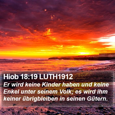 Hiob 18:19 LUTH1912 Bible Verse Image