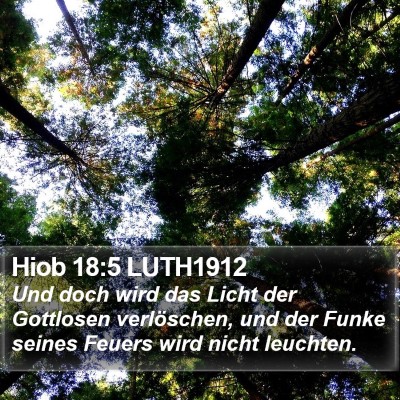 Hiob 18:5 LUTH1912 Bible Verse Image
