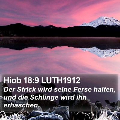 Hiob 18:9 LUTH1912 Bible Verse Image