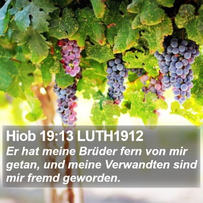 Hiob 19:13 LUTH1912 Bible Verse Image