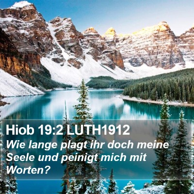 Hiob 19:2 LUTH1912 Bible Verse Image