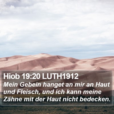Hiob 19:20 LUTH1912 Bible Verse Image