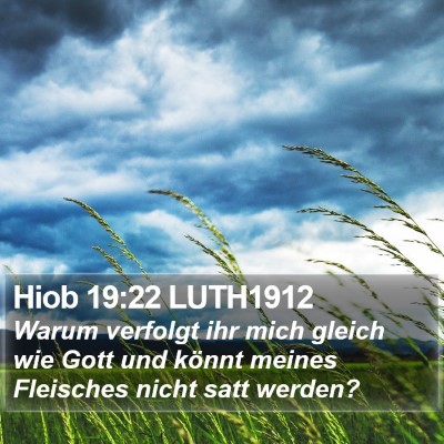 Hiob 19:22 LUTH1912 Bible Verse Image