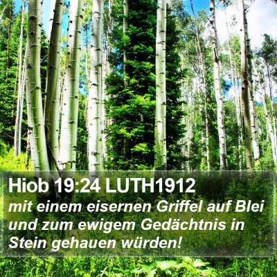 Hiob 19:24 LUTH1912 Bible Verse Image