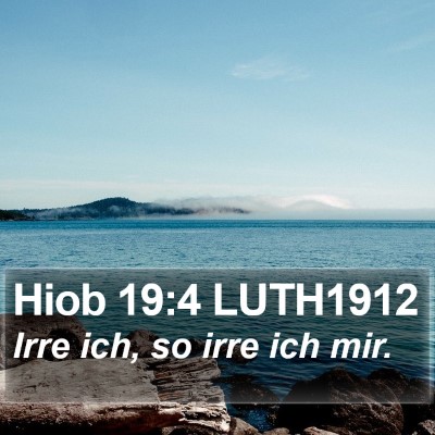 Hiob 19:4 LUTH1912 Bible Verse Image