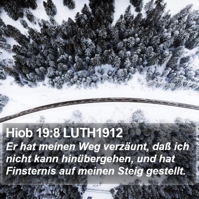 Hiob 19:8 LUTH1912 Bible Verse Image