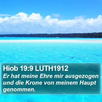 Hiob 19:9 LUTH1912 Bible Verse Image
