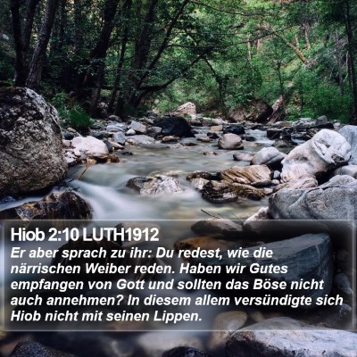 Hiob 2:10 LUTH1912 Bible Verse Image