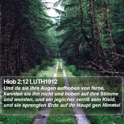 Hiob 2:12 LUTH1912 Bible Verse Image