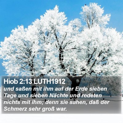 Hiob 2:13 LUTH1912 Bible Verse Image