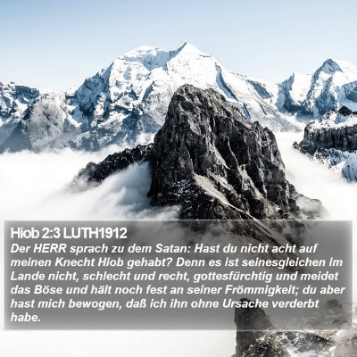Hiob 2:3 LUTH1912 Bible Verse Image