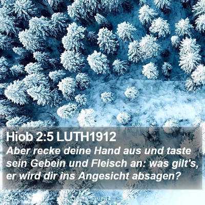 Hiob 2:5 LUTH1912 Bible Verse Image