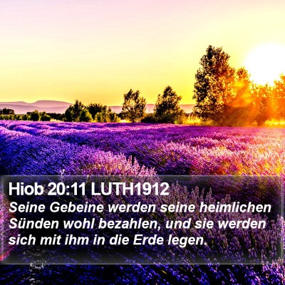 Hiob 20:11 LUTH1912 Bible Verse Image