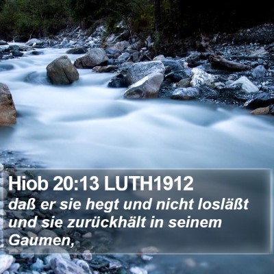 Hiob 20:13 LUTH1912 Bible Verse Image