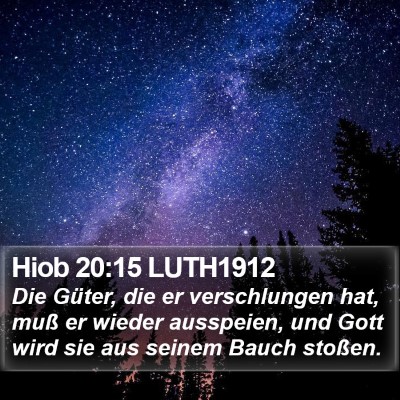 Hiob 20:15 LUTH1912 Bible Verse Image