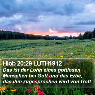 Hiob 20:29 LUTH1912 Bible Verse Image