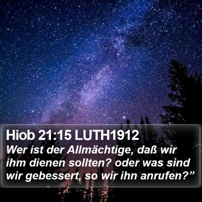 Hiob 21:15 LUTH1912 Bible Verse Image
