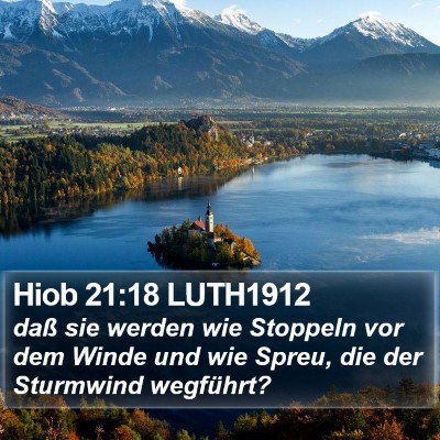Hiob 21:18 LUTH1912 Bible Verse Image