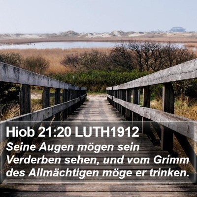 Hiob 21:20 LUTH1912 Bible Verse Image