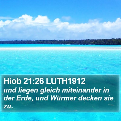 Hiob 21:26 LUTH1912 Bible Verse Image