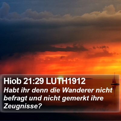 Hiob 21:29 LUTH1912 Bible Verse Image