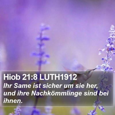 Hiob 21:8 LUTH1912 Bible Verse Image