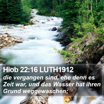 Hiob 22:16 LUTH1912 Bible Verse Image