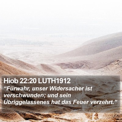 Hiob 22:20 LUTH1912 Bible Verse Image