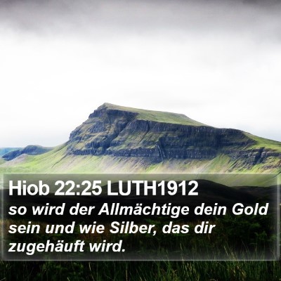 Hiob 22:25 LUTH1912 Bible Verse Image