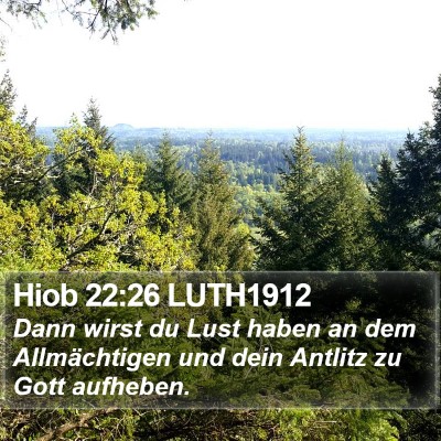 Hiob 22:26 LUTH1912 Bible Verse Image