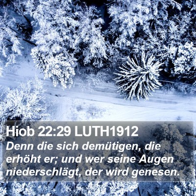 Hiob 22:29 LUTH1912 Bible Verse Image