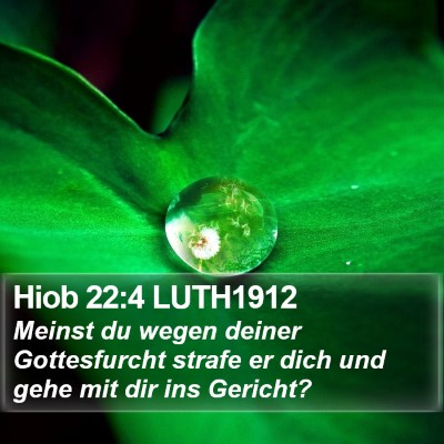 Hiob 22:4 LUTH1912 Bible Verse Image