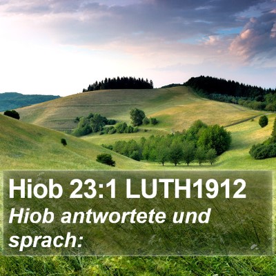 Hiob 23:1 LUTH1912 Bible Verse Image