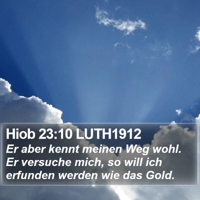 Hiob 23:10 LUTH1912 Bible Verse Image