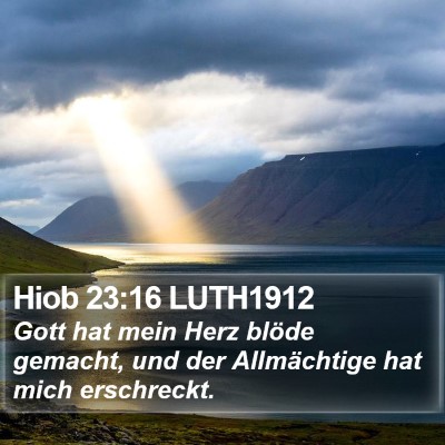 Hiob 23:16 LUTH1912 Bible Verse Image