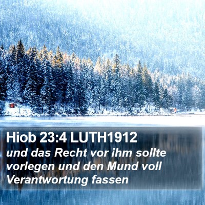 Hiob 23:4 LUTH1912 Bible Verse Image