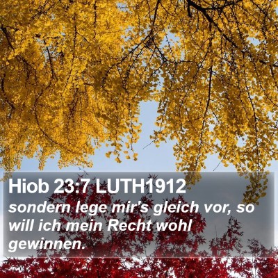 Hiob 23:7 LUTH1912 Bible Verse Image