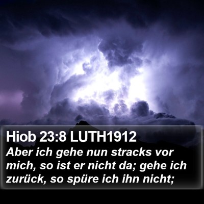 Hiob 23:8 LUTH1912 Bible Verse Image