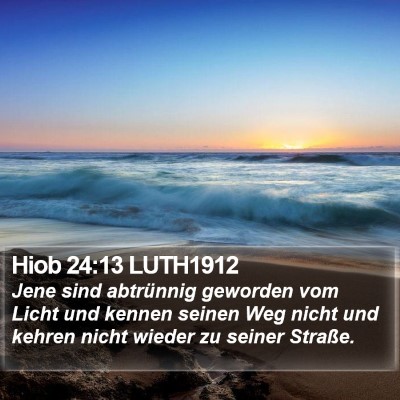 Hiob 24:13 LUTH1912 Bible Verse Image