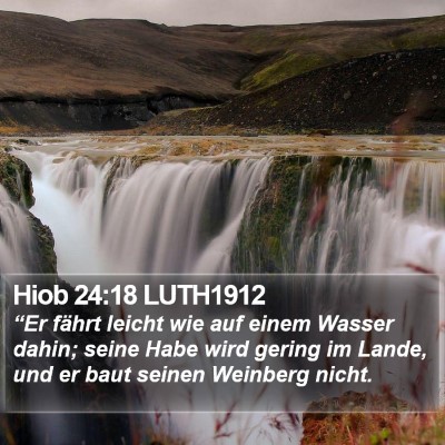 Hiob 24:18 LUTH1912 Bible Verse Image