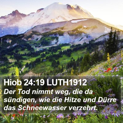 Hiob 24:19 LUTH1912 Bible Verse Image